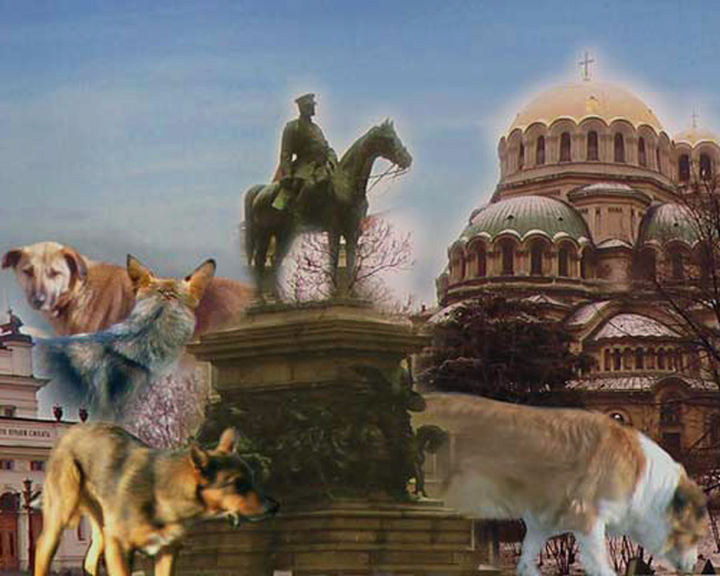 детайл