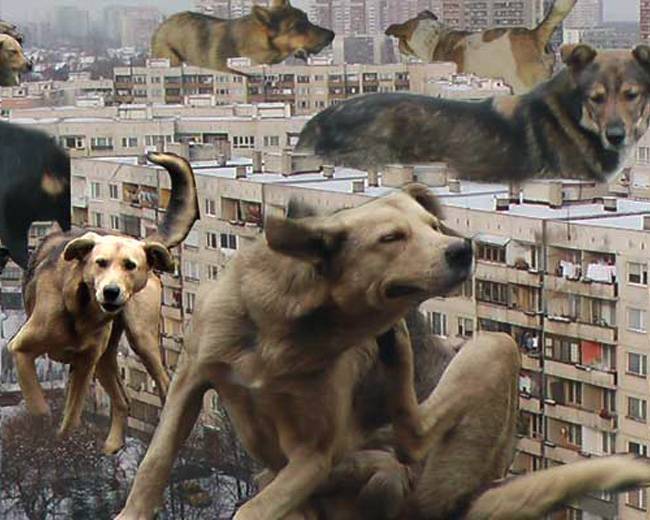 детайл