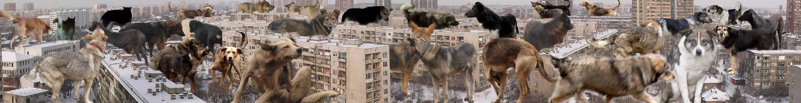 Събърбия II