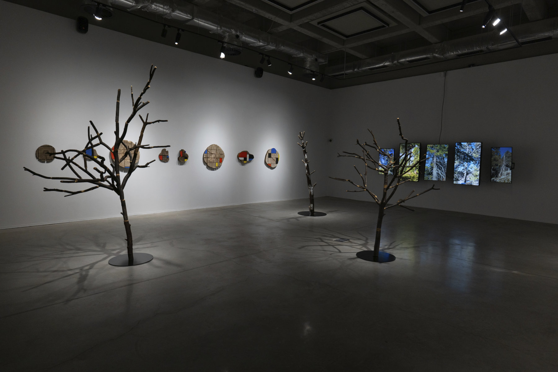 installation view