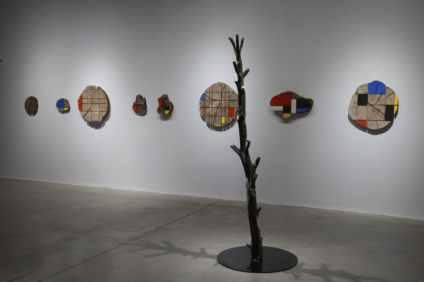 installation view