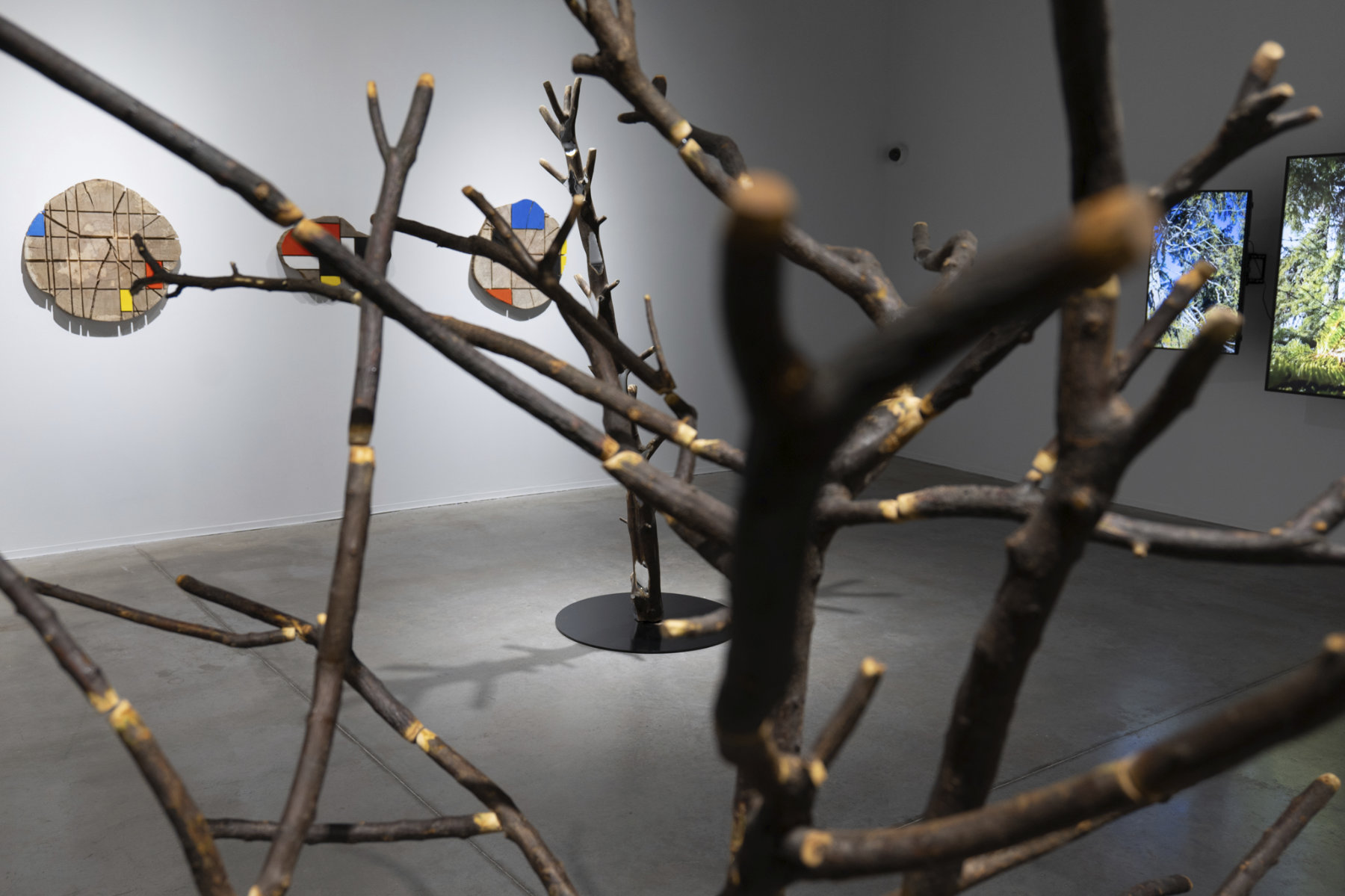 installation view