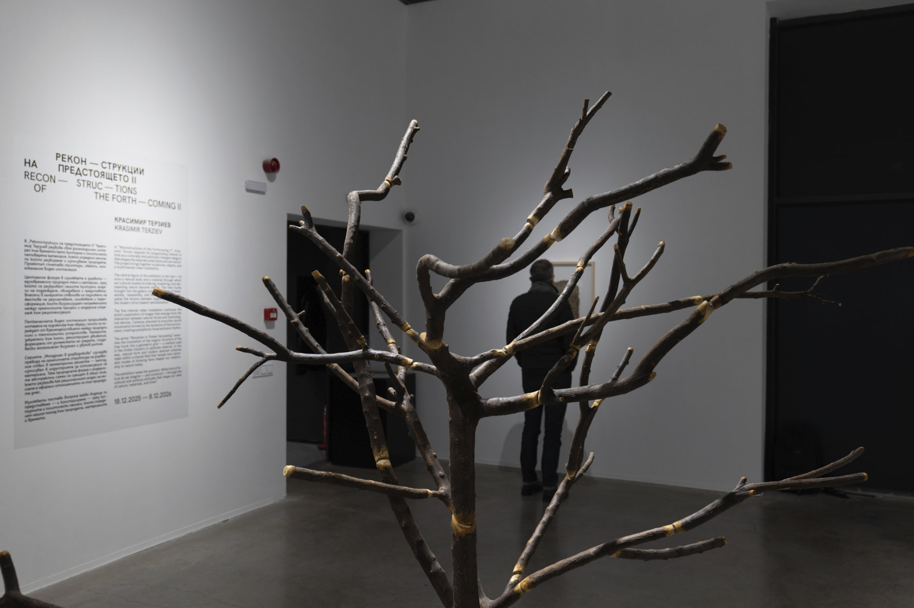 installation view