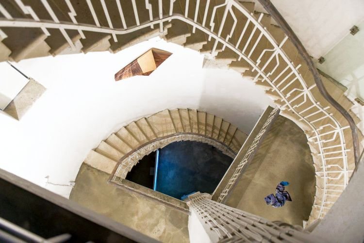 Ако дърво падне в гората и наоколо няма никого, дали ще произведе звук? (с Желко Терзиев)