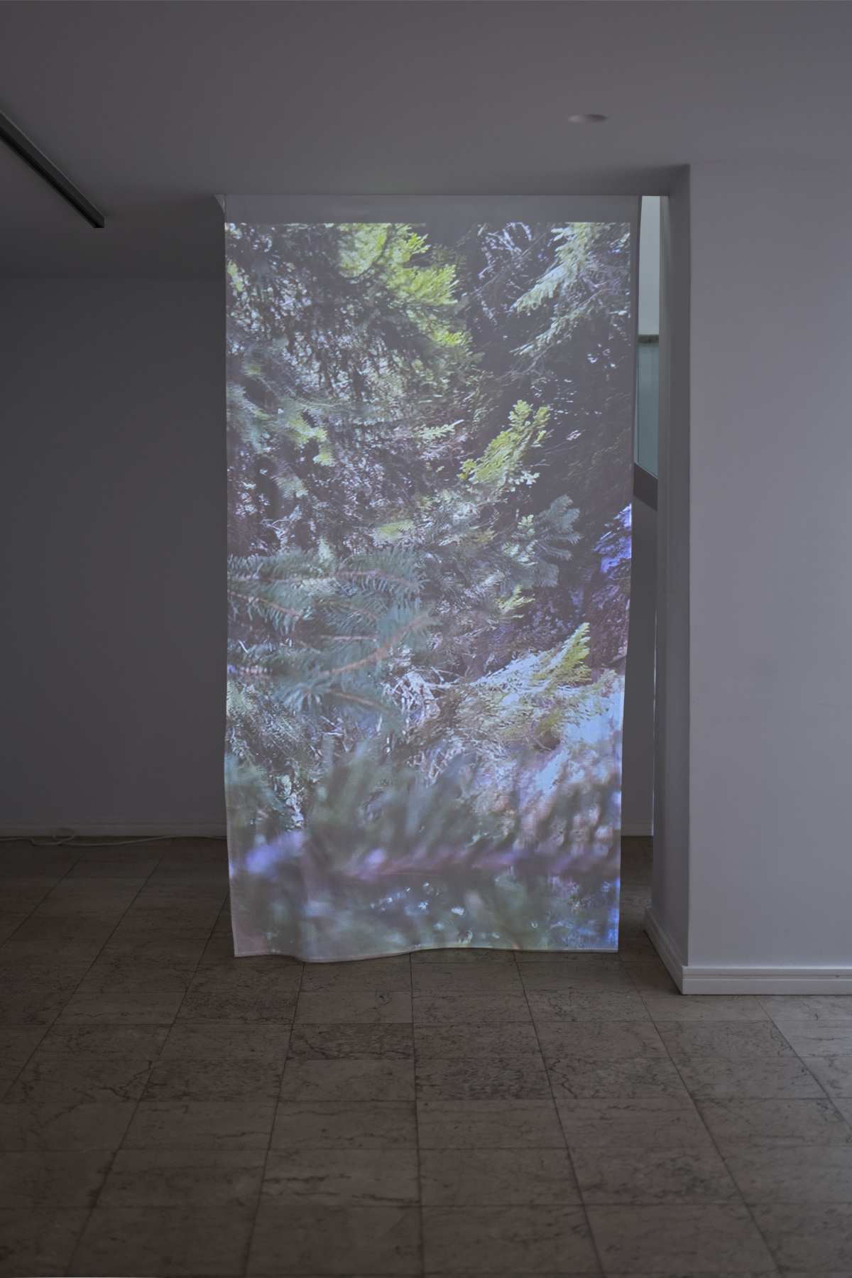 From the Wind's Perspective