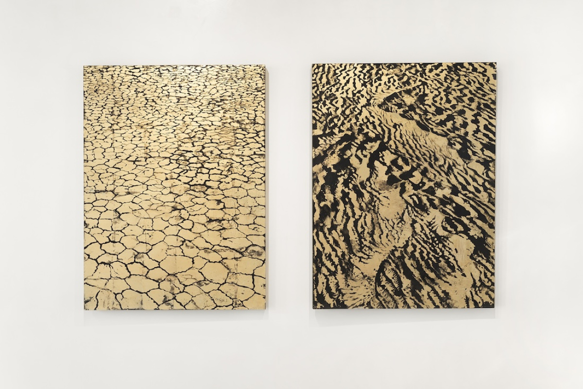 Organic Grids series